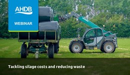 Tackling silage costs and reducing waste